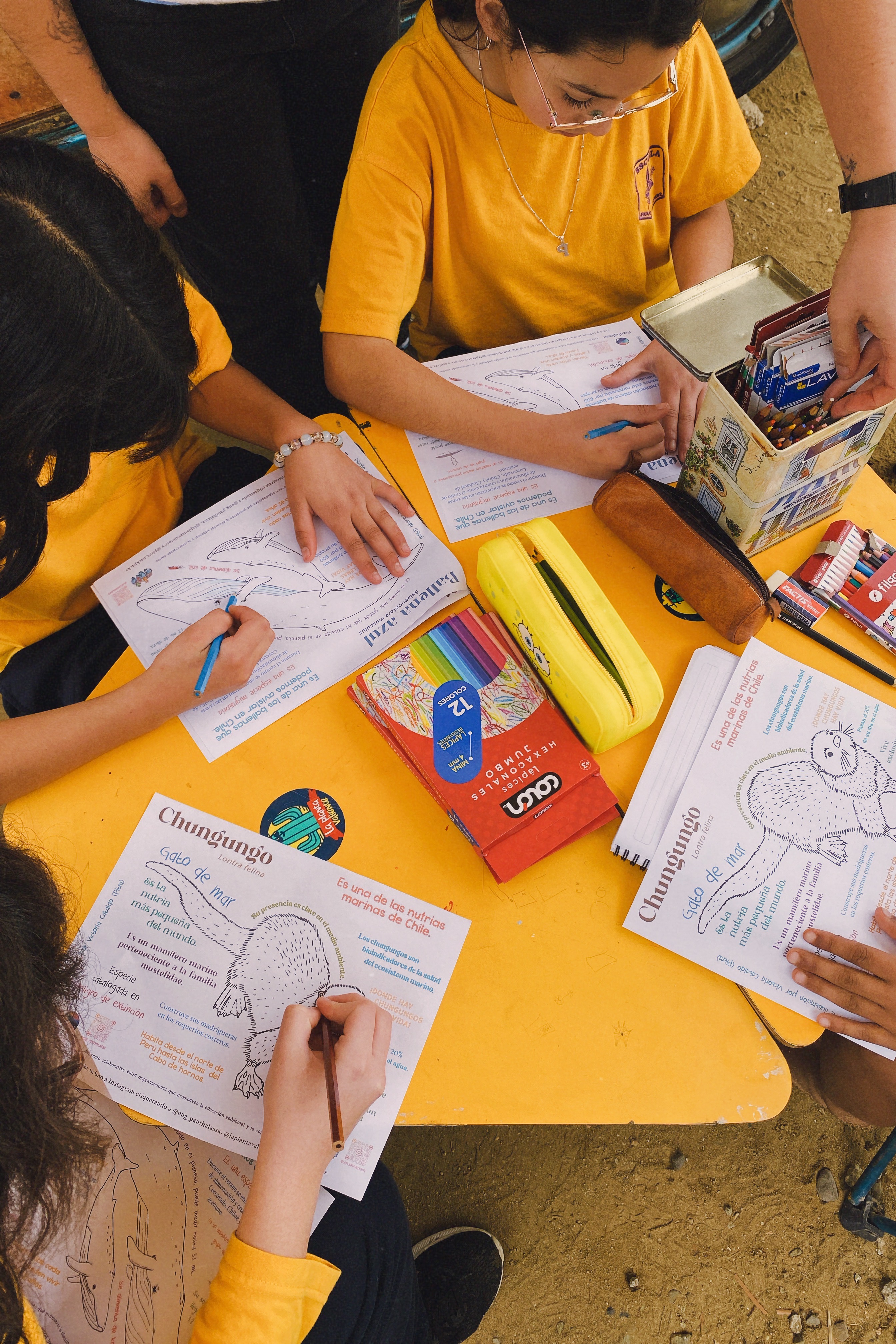 Educación ambiental