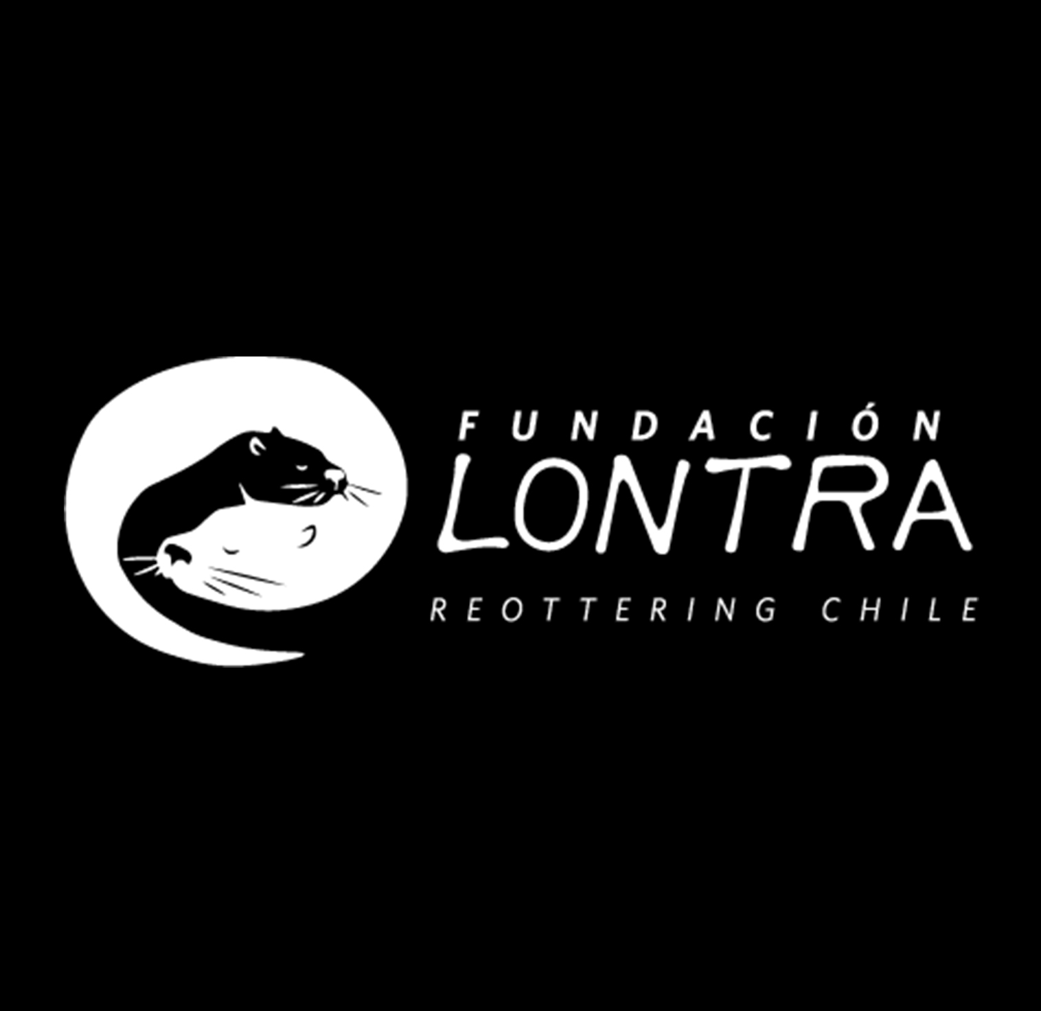 Logo de Fundación Lontra